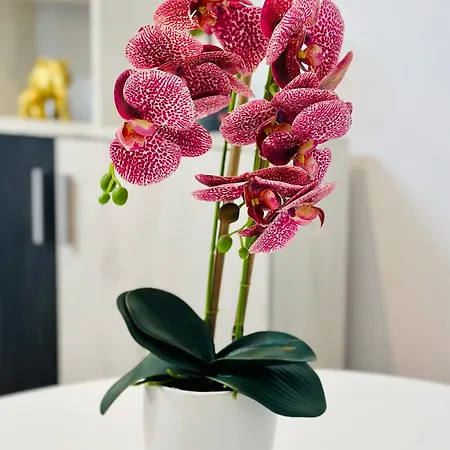 Appartamento Landmark View - Concerthall - Chic Comfort 1bdr Bucarest