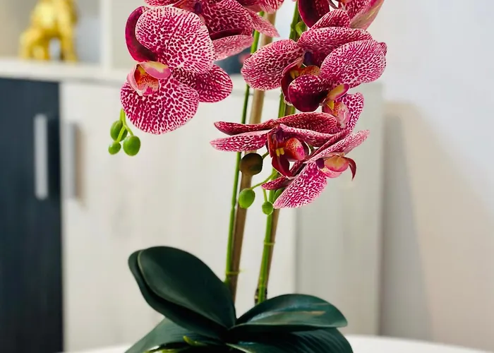 Apartmán Landmark View - Concerthall - Chic Comfort 1bdr Bukurešť